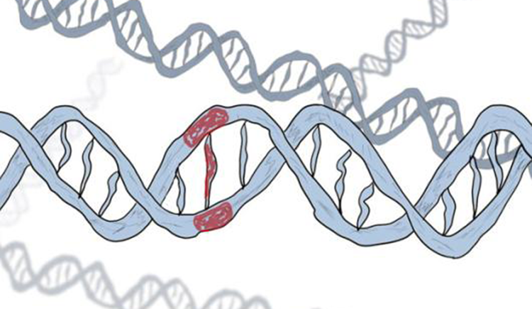 An illustration of blue DNA with a mutation marked in red