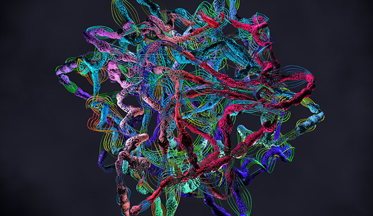 Illustration of chain of amino acids forming proteins