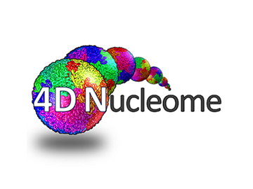 4DN logo