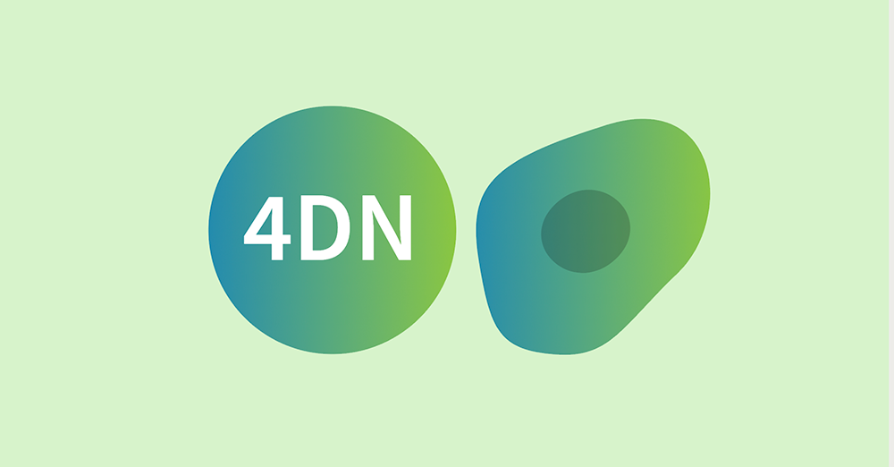 4DN logo