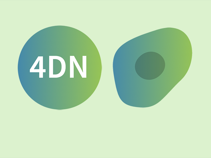 logo: 4DNucleome