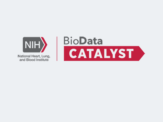 BioData Catalyst logo