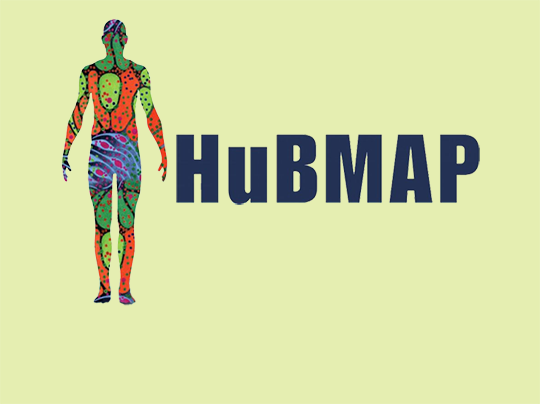 HuBMAP logo