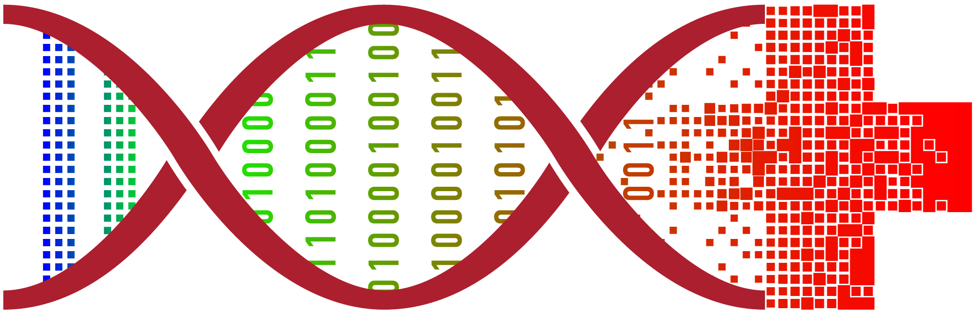 Core for Computational Biomedicine (CCB) logo